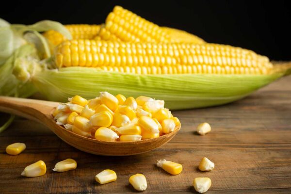 Dilaw na Mais (Sweet Corn)