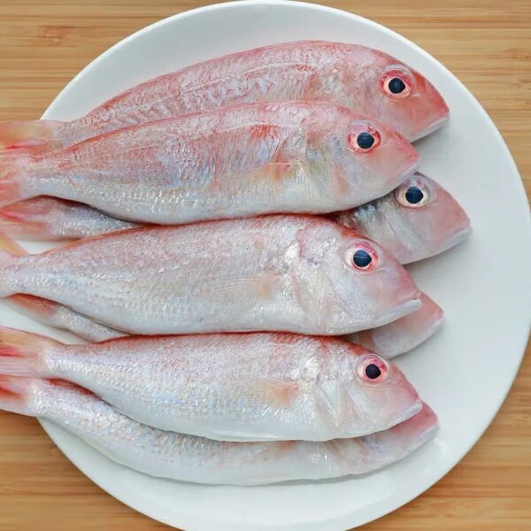 Bisugo Threadfin Bream – 1KG
