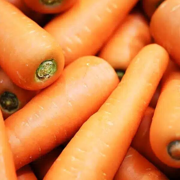 Carrots1