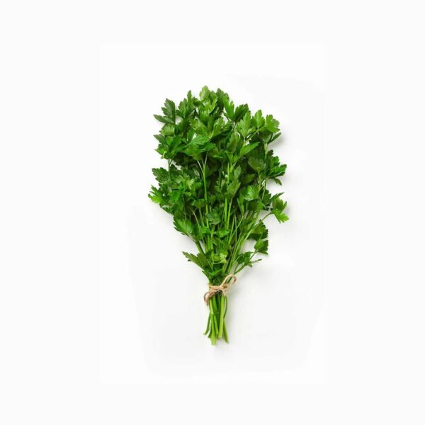 Kinchay Parsley