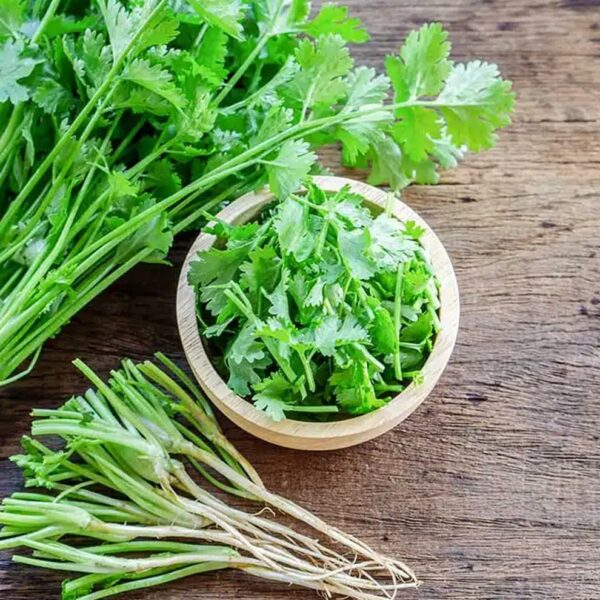 Kinchay Parsley3