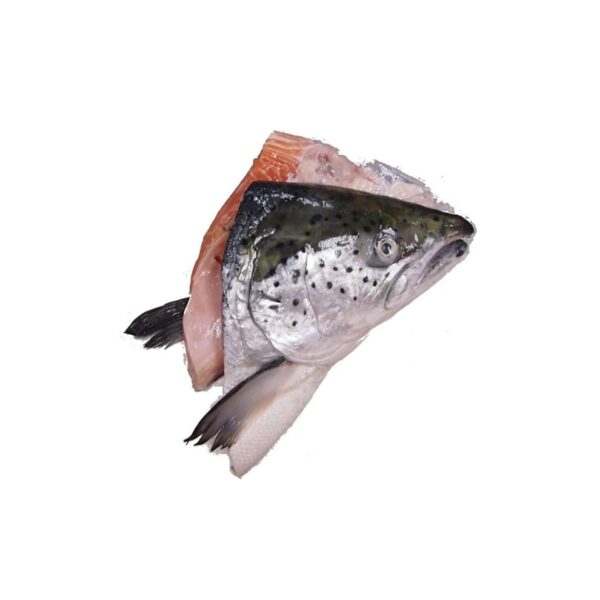 Pink Salmon Head Threadfin Slamon – 1KG