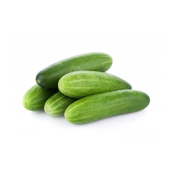 Pipino Cucumber
