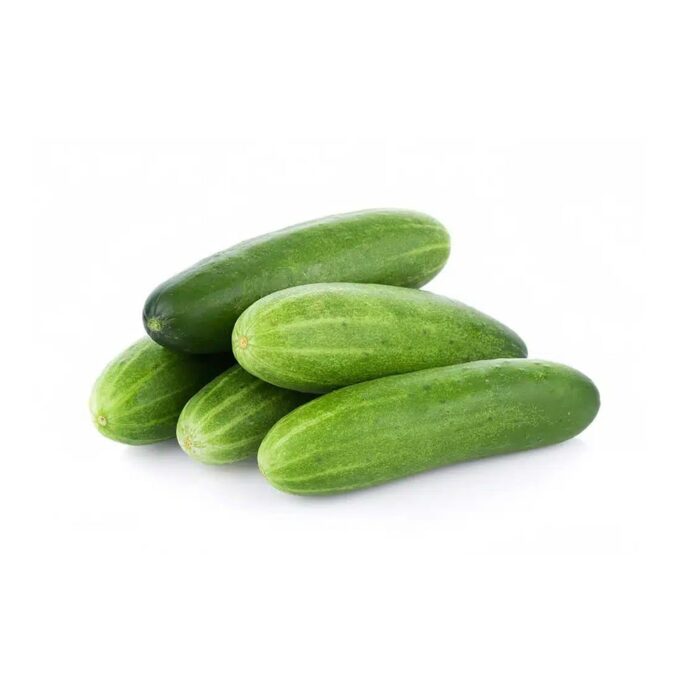 Pipino Cucumber