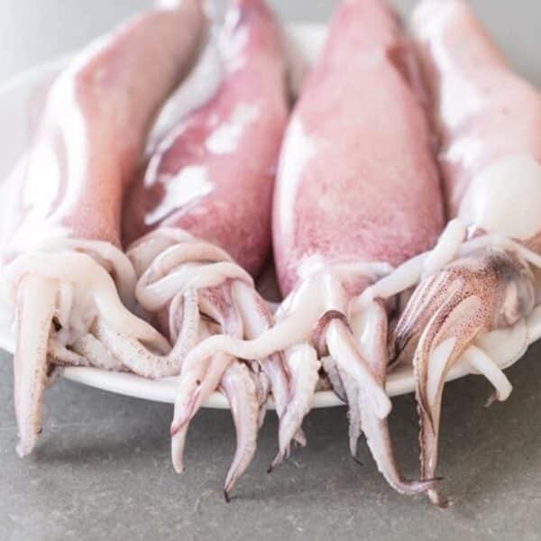 Pusit Large Squid – 1KG