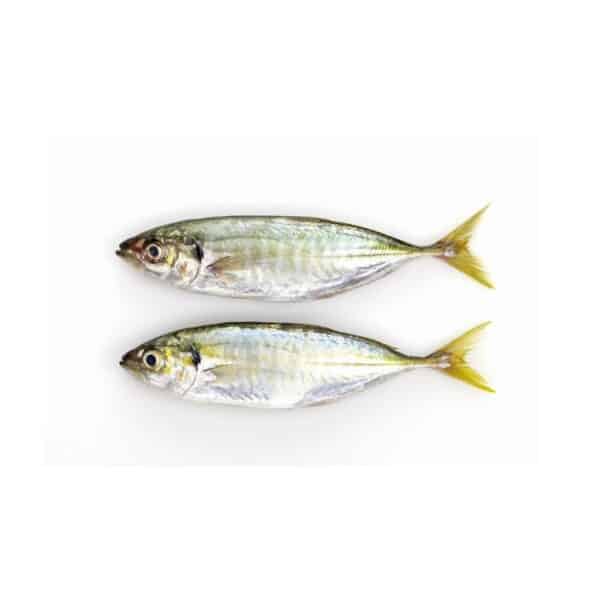 Salay Salay Fish Yellow Tail Scad – 1KG