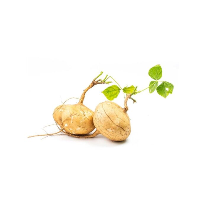 Singkamas Jicama
