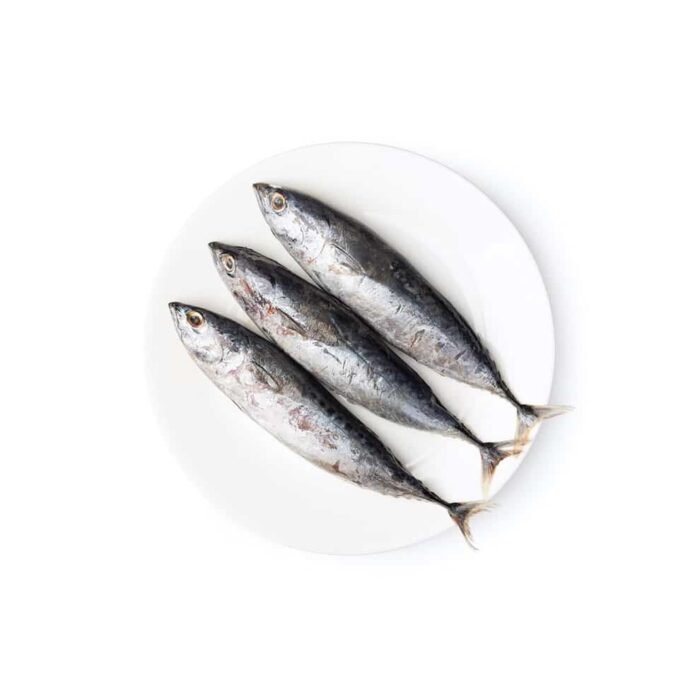 Tulingan Skipjack Tuna – 1KG