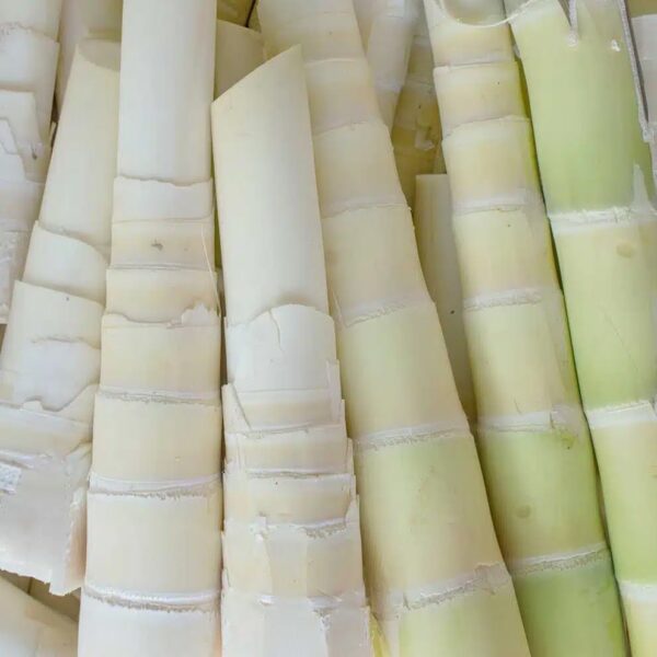 Ubod Heart of Palm2