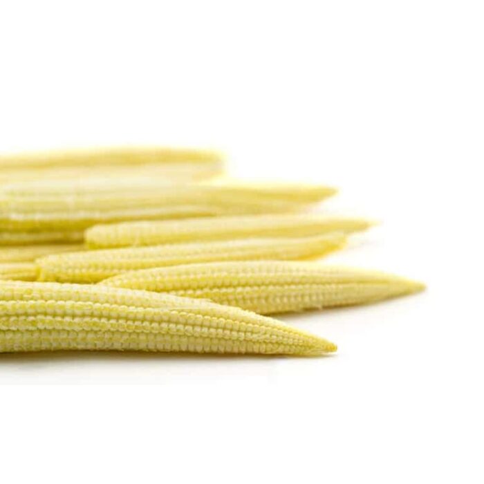 Young Corn 1