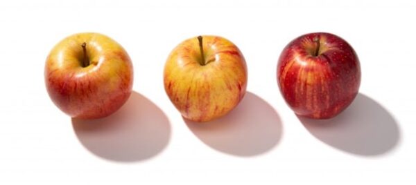 China Fuji Apple